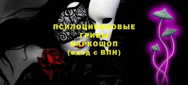 эйфоретик Алзамай