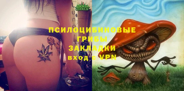 эйфоретик Алзамай