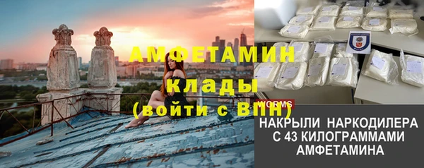 эйфоретик Алзамай