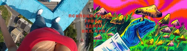 эйфоретик Алзамай
