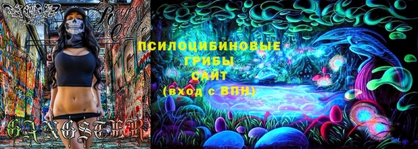 бошки Алексин